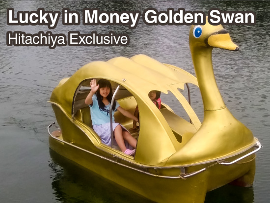Lucky in Money Golden Swan