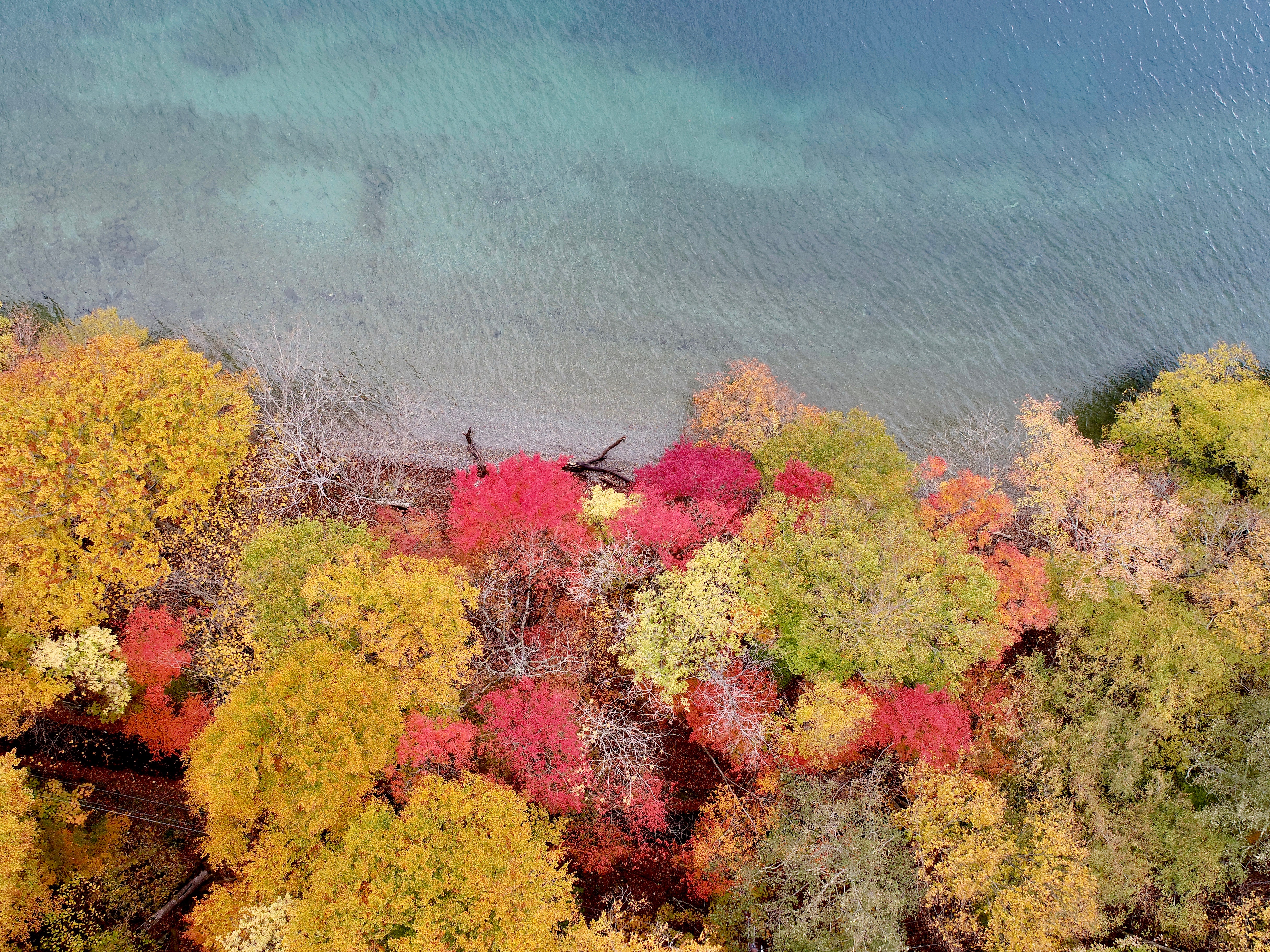 Lake Center Hitachiya