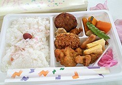 Takeout Makunouchi Bento Box
